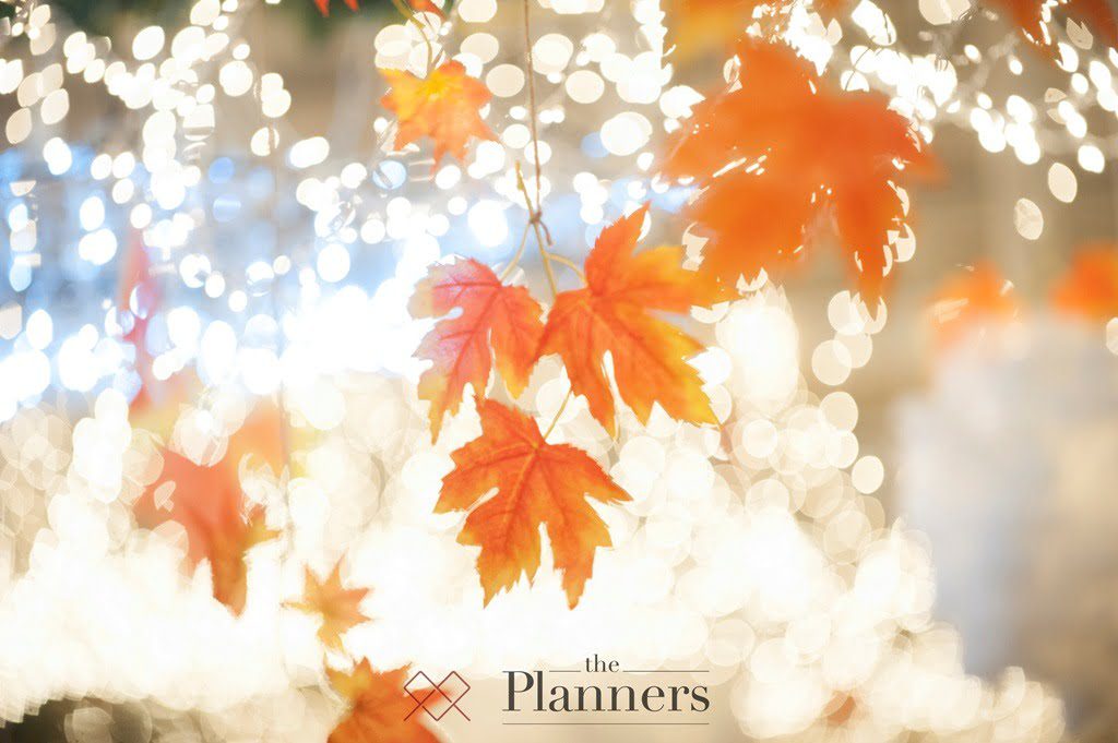 FZN 3655 - The Planners
