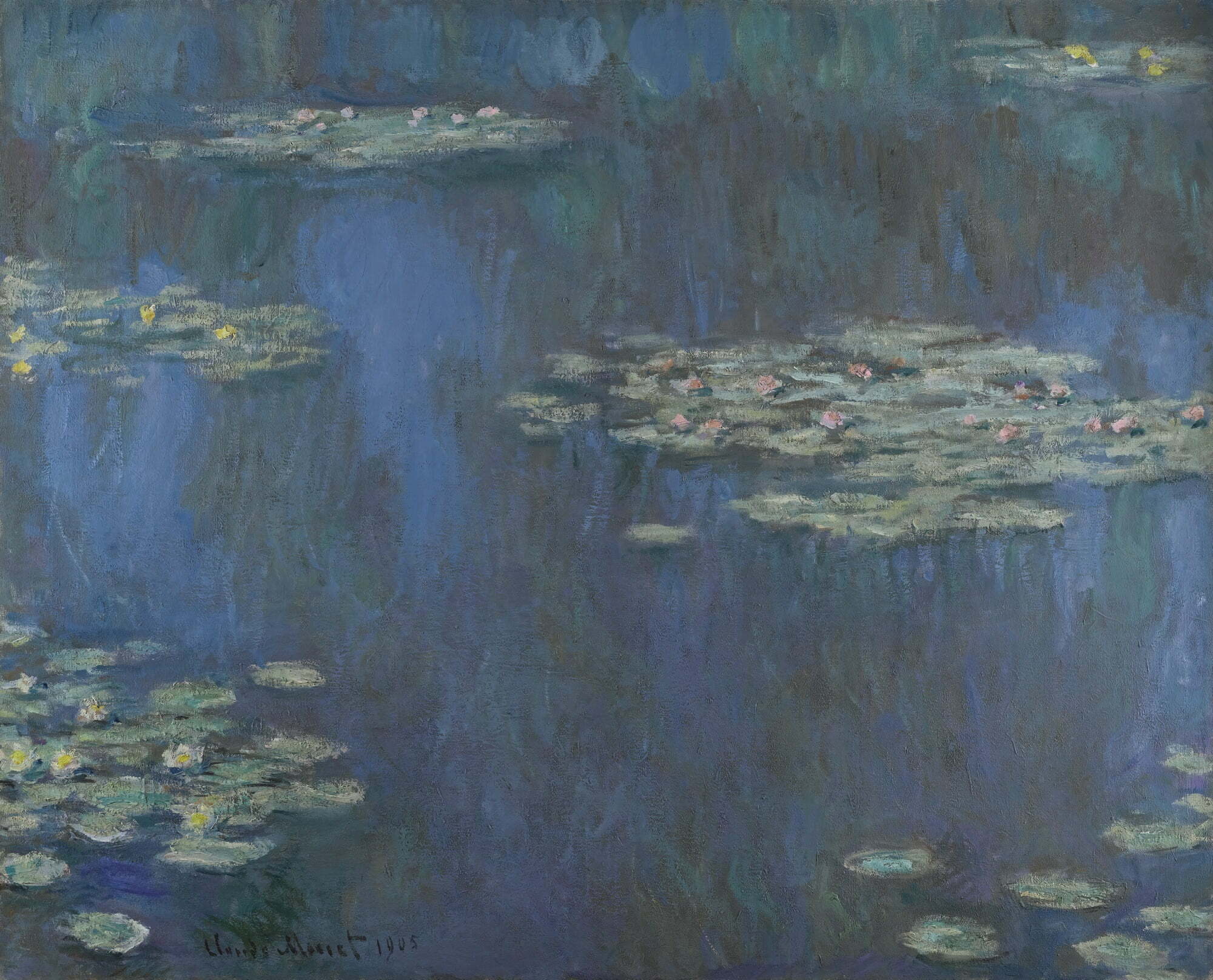 water lilies 2 - The Planners