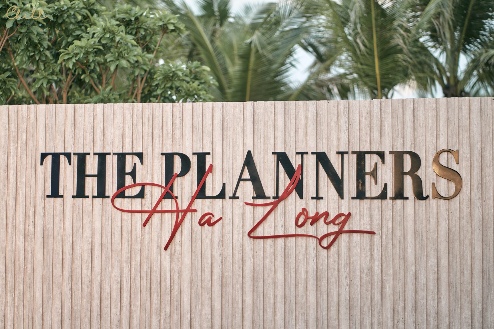 OPENING THE PLANNER 17 - The Planners